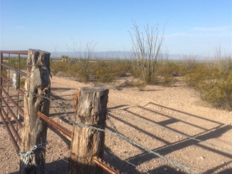 10 Acres for Sale in Marfa, TX : Marfa : Presidio County : Texas