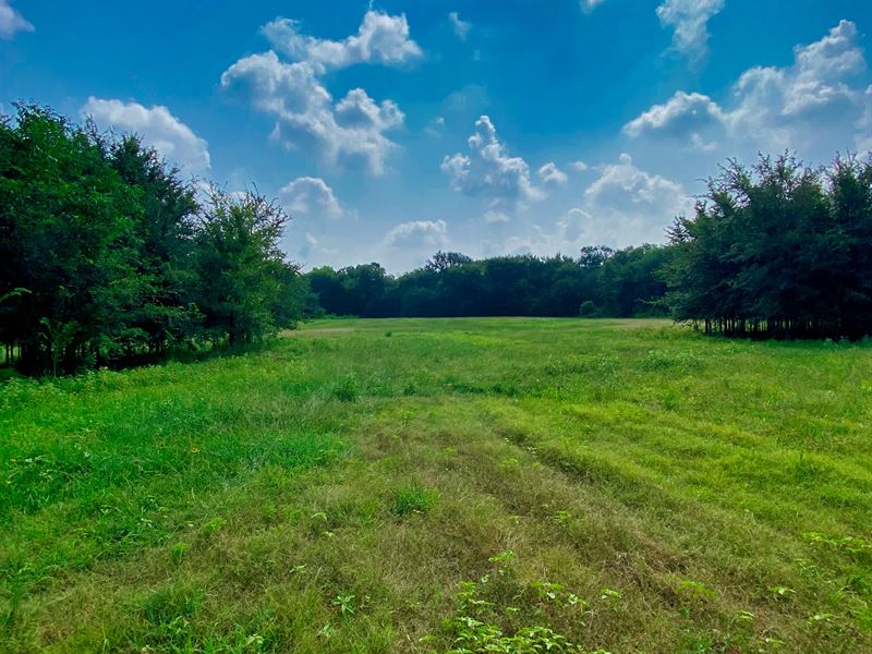 Twin Lake Farms 11+ Acres : Saltillo : Hopkins County : Texas