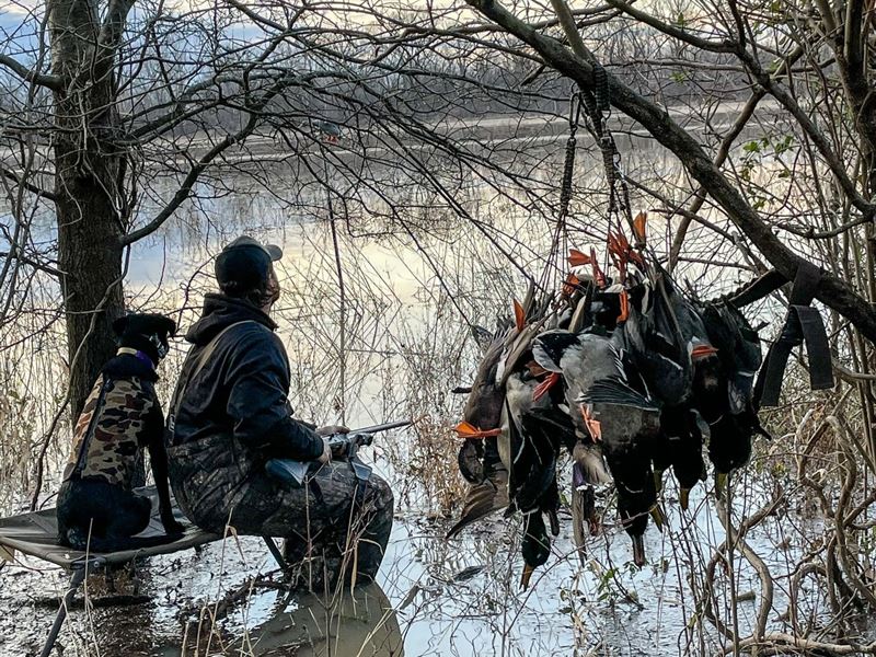St. Francis Sunken Lands 300 : Rivervale : Craighead County : Arkansas