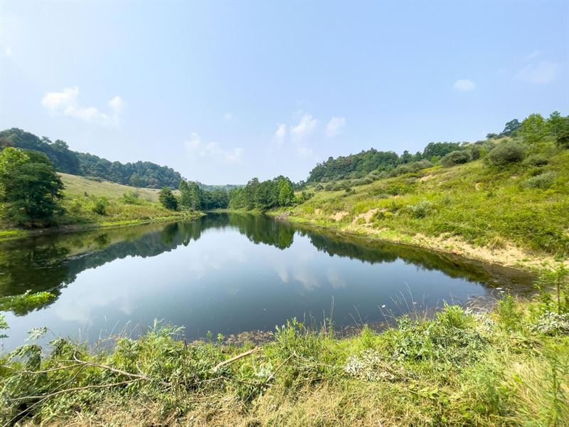 Wine Rd, 176 Acres, Guernsey Coun : Quaker City : Guernsey County : Ohio