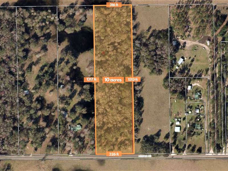 10 Ac with no Building Restriction : Perry : Taylor County : Florida