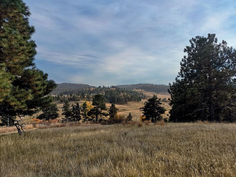 Ideal Property for Your Dream Home, Ranch for Sale by Owner in South