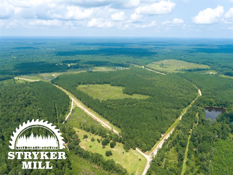10 Acres T-3 Stryker Mill : Corrigan : Polk County : Texas