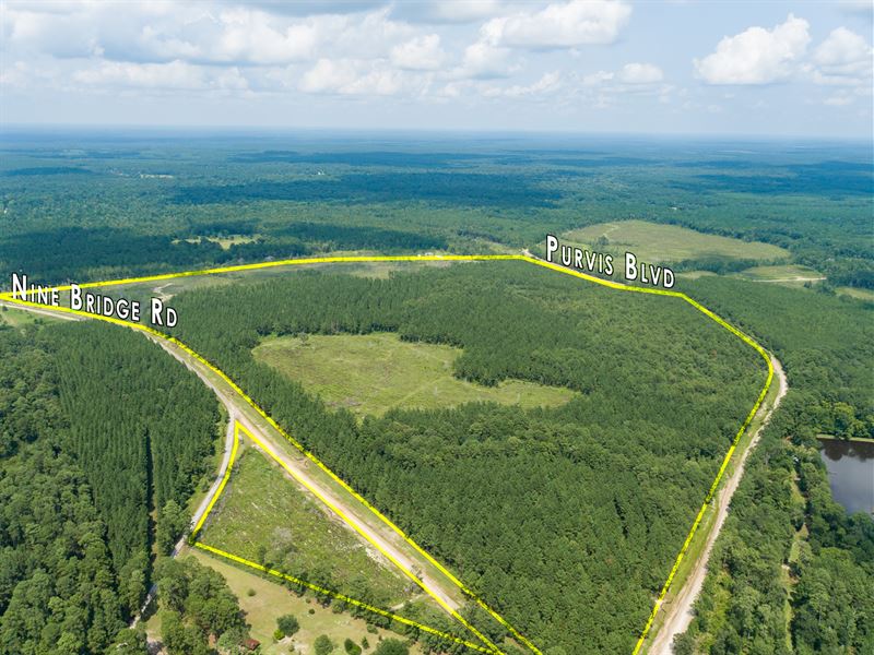 10 Acres T-5 Stryker Mill : Corrigan : Polk County : Texas