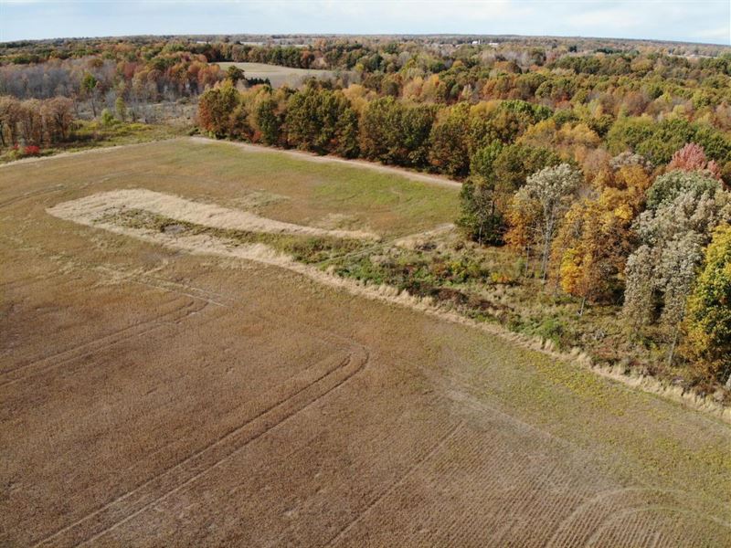65 Acres Athens, Calhoun County : Athens : Calhoun County : Michigan