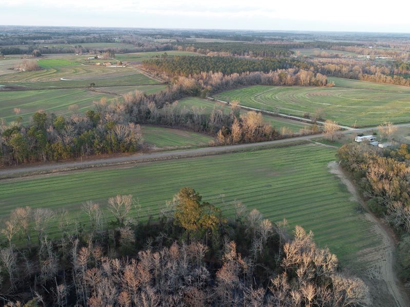 Row Crop Land : Cottonwood : Houston County : Alabama