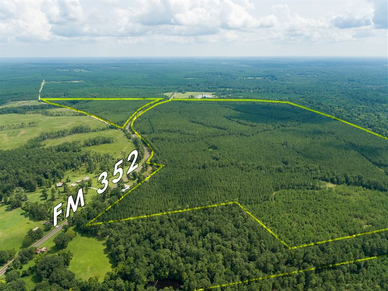 100 Acres T-11 Stryker Mill : Corrigan : Polk County : Texas