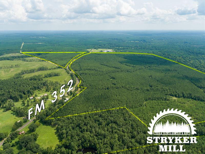 15 Acres T-13 Stryker Mill : Corrigan : Polk County : Texas