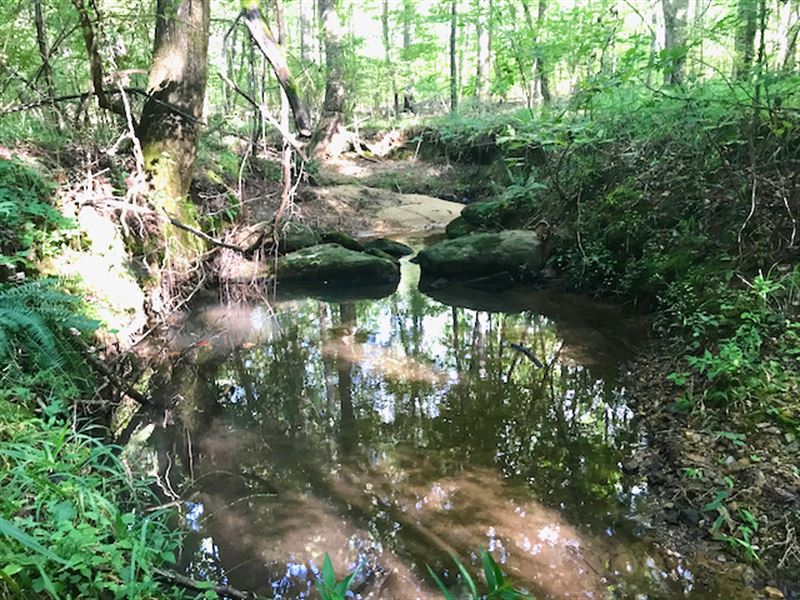 Perfect Size Hunting Tract : Junction City : Talbot County : Georgia