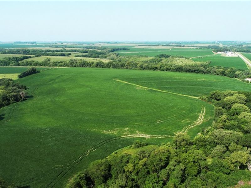 Cass County Wildlife and Drycrop : Plattsmouth : Cass County : Nebraska