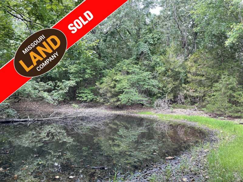20 Acres Excellent Timber, Pond : Weaubleau : Saint Clair County : Missouri