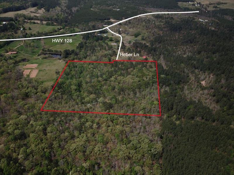 22 Acres Hot Spring County : Caney : Hot Spring County : Arkansas