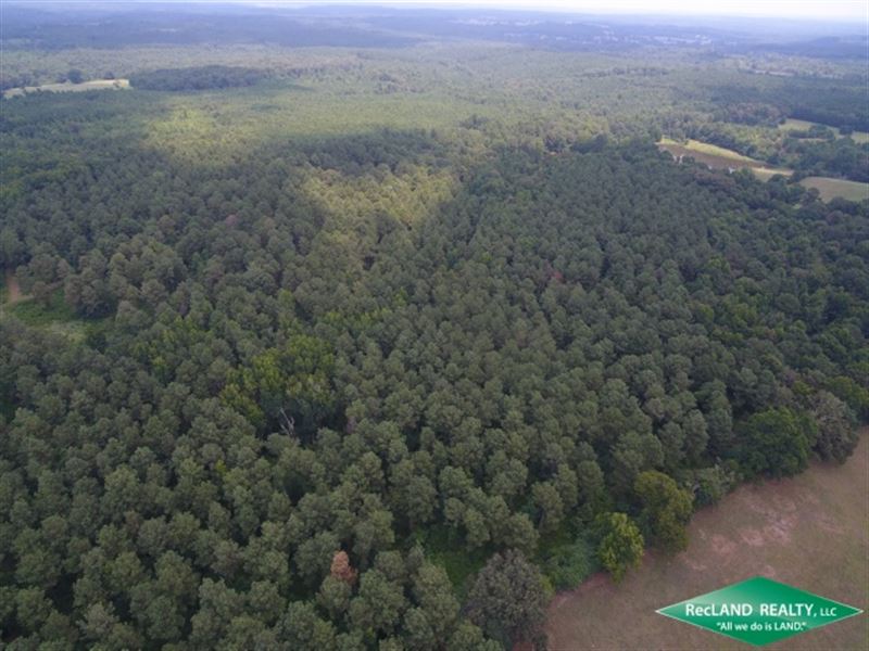 80 Ac, Pine Timberland with Home : Athens : Claiborne Parish : Louisiana