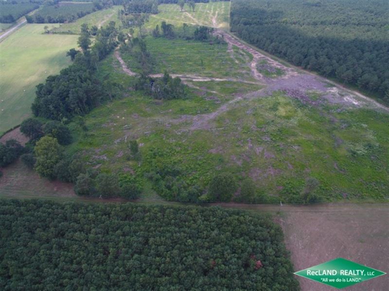 75 Ac, Timberland with House/Camp : Athens : Claiborne Parish : Louisiana