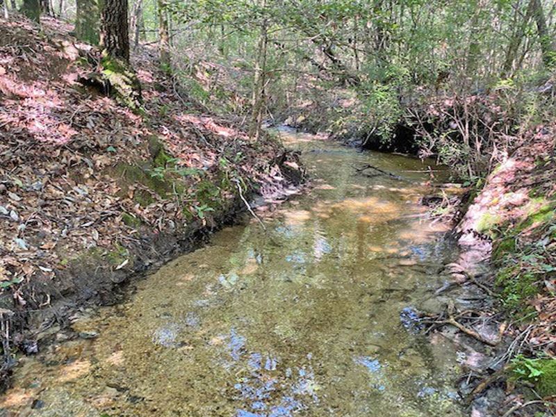 Co Rd 7 Repton Tract : Repton : Conecuh County : Alabama