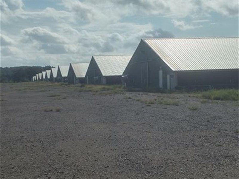 29 House Broiler Farm with 5 Homes : Waldron : Scott County : Arkansas