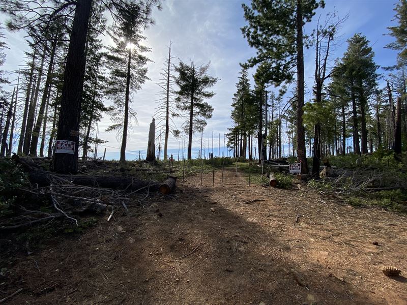 76 Acre Mountain Top Lot : Foresthill : Placer County : California
