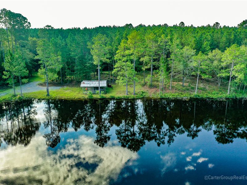 Beautiful East Lake : Fitzgerald : Ben Hill County : Georgia