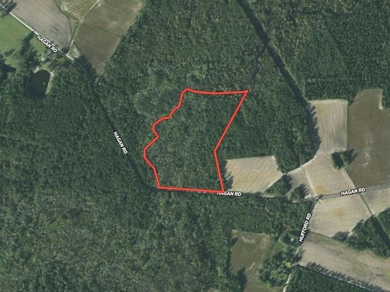 24 Acres of Recre : Loris : Horry County : South Carolina