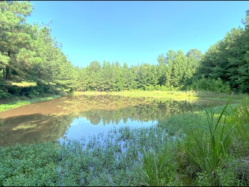124 Acres with A Home in Leake Coun : Kosciusko : Leake County : Mississippi