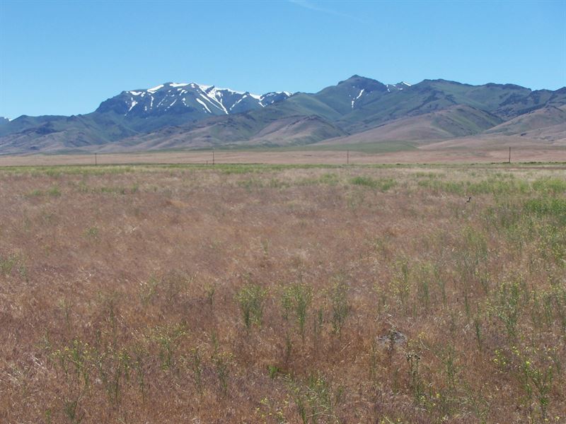 EZ Access, Super Nice Views, $580/M : Imlay : Pershing County : Nevada