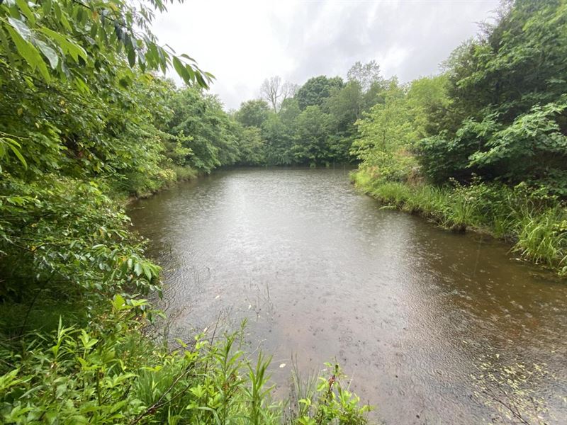 Getting Back to Nature 159 Acres : Liberty : Casey County : Kentucky