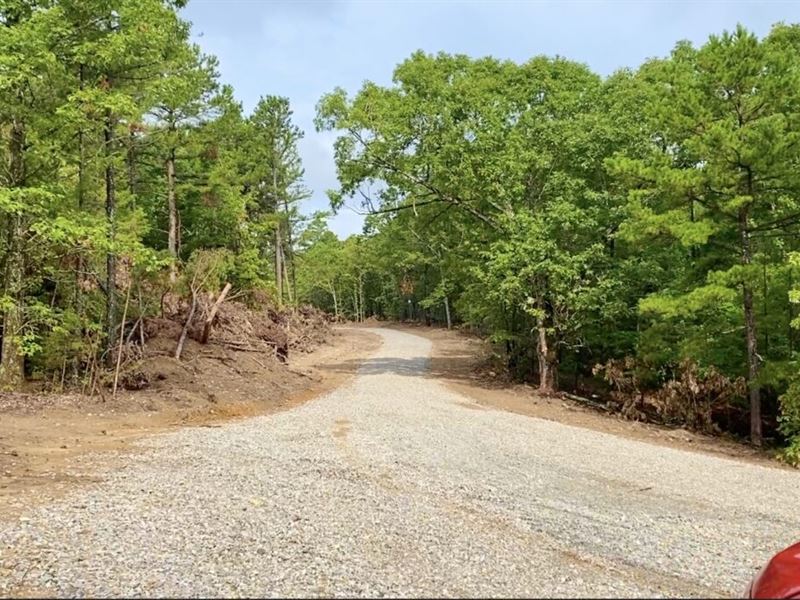 Huge 30 Acres, Owner Financing : Viola : Fulton County : Arkansas