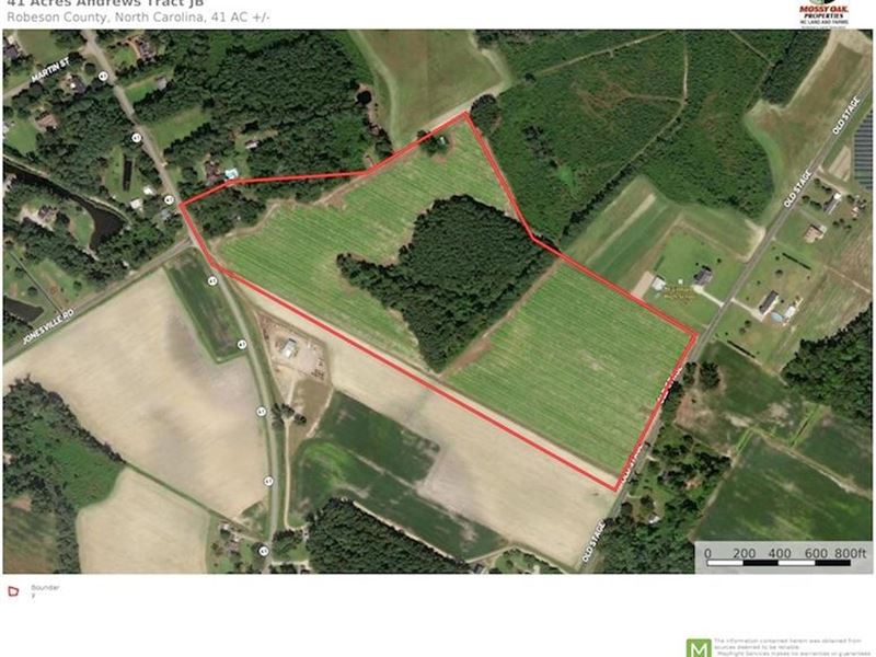 41 Acres of Hunti : Fairmont : Robeson County : North Carolina