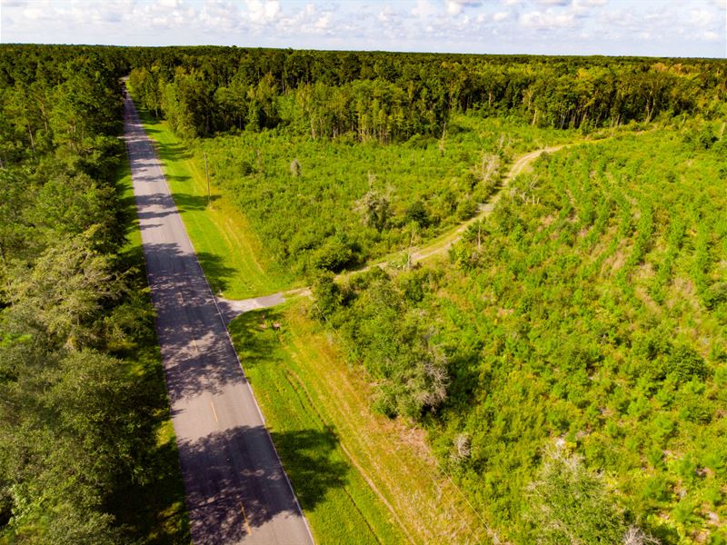 Evans Corner Lot 8 25 Ac Homesite : Lamont : Jefferson County : Florida
