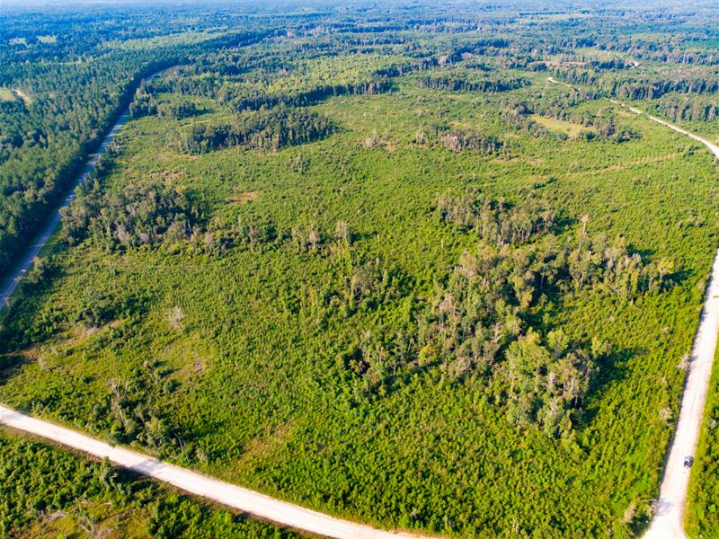 Evans Corner Lot 6 25 Ac Homesite : Lamont : Jefferson County : Florida