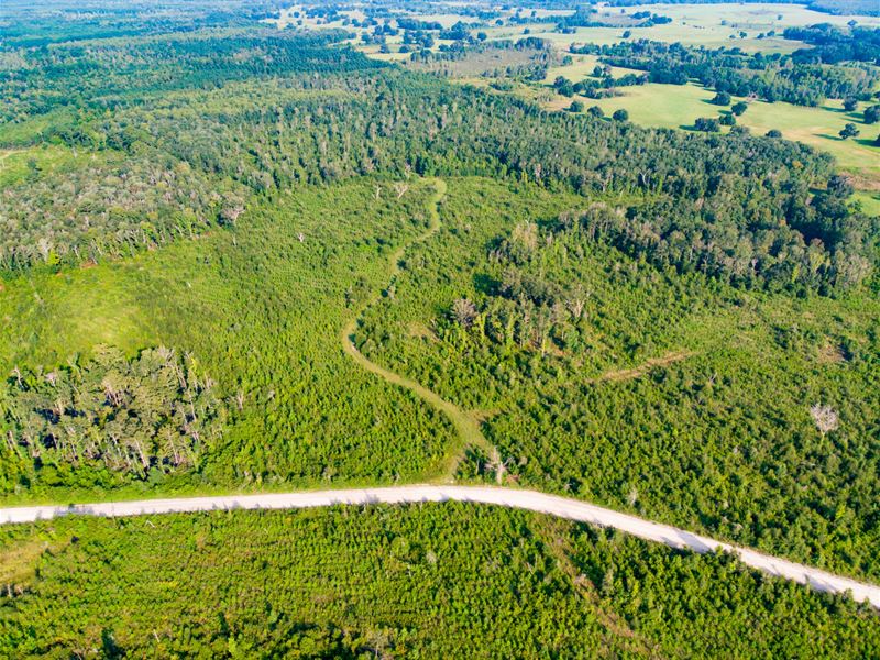 Evans Corner Lot 3 23 Ac Homesite : Lamont : Jefferson County : Florida