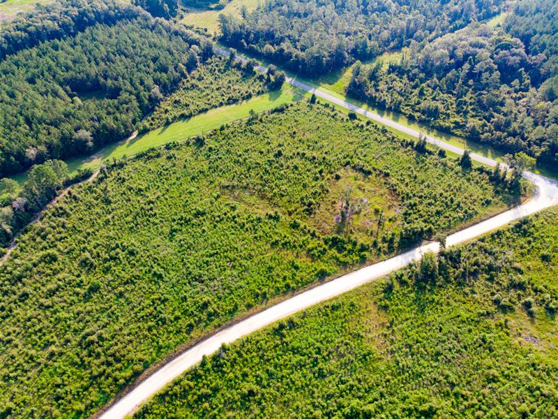 Evans Corner Lot 1 17 Ac Homesite : Lamont : Jefferson County : Florida