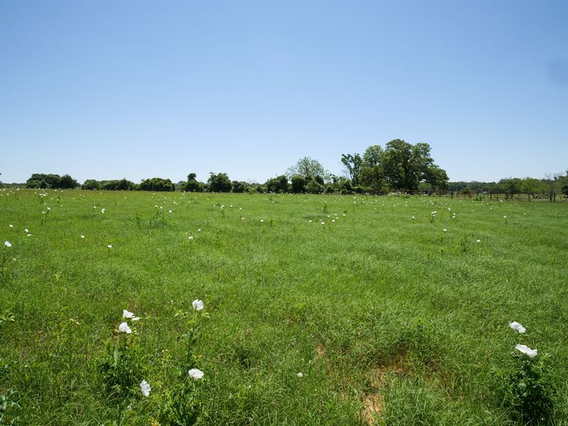 Country Hilltop View : Caldwell : Burleson County : Texas