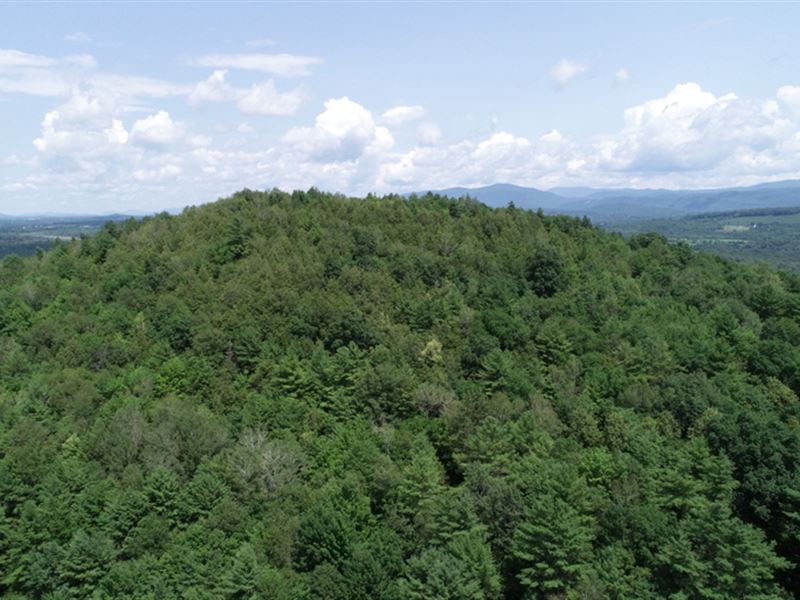 Bald Hill Forest : Sudbury : Rutland County : Vermont