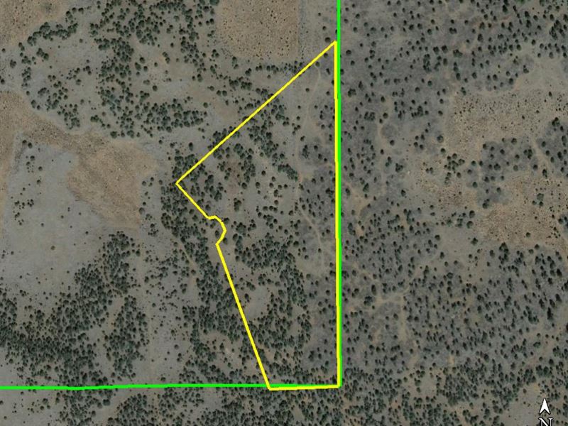 Safer Acres in Beautiful New Mexico : Grants : Cibola County : New Mexico