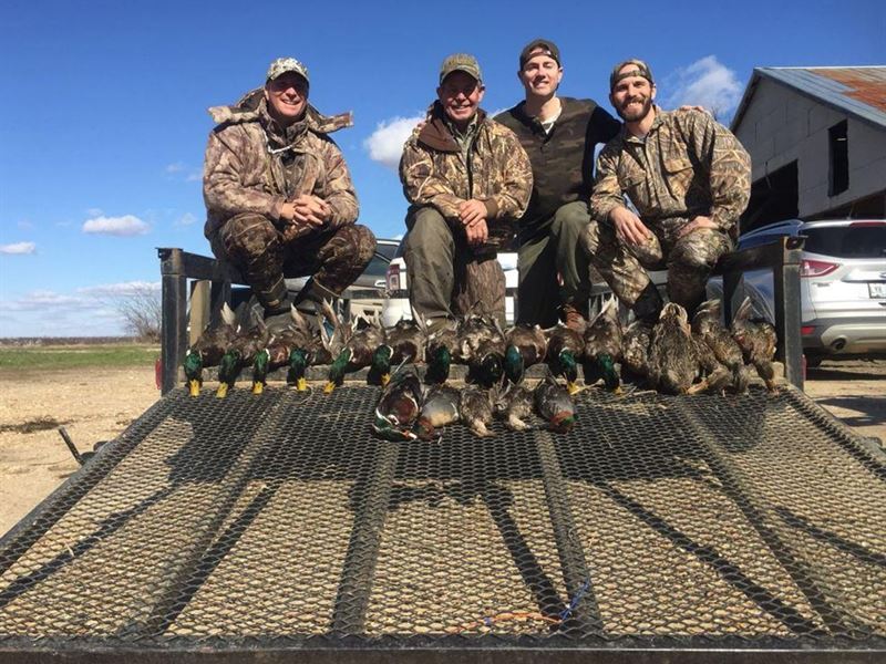 771 Acre Quitman County, MS Hunting : Belen : Quitman County : Mississippi
