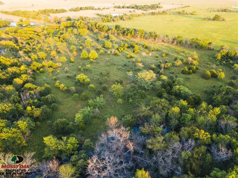 80 Acre Hunting Sanctuary for Sale : Edna : Labette County : Kansas
