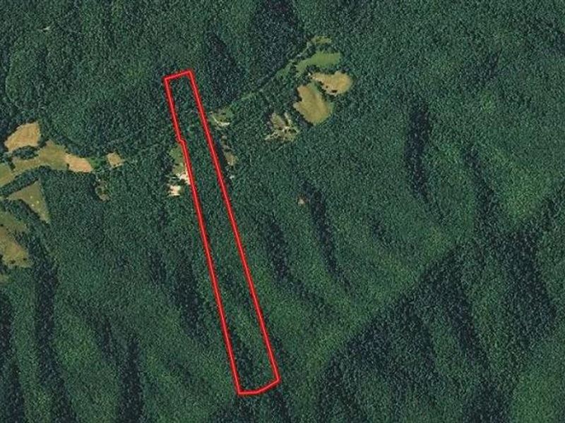 43.7 Acres of Recr : Atkins : Smyth County : Virginia