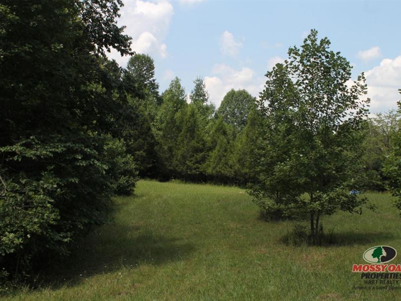 60 Acres of Kentucky Hunting Land : Campbellsville : Taylor County : Kentucky