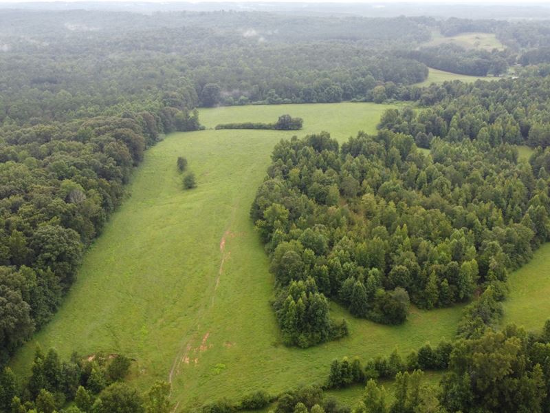 60 Acre Cattle Farm : Ashland : Clay County : Alabama