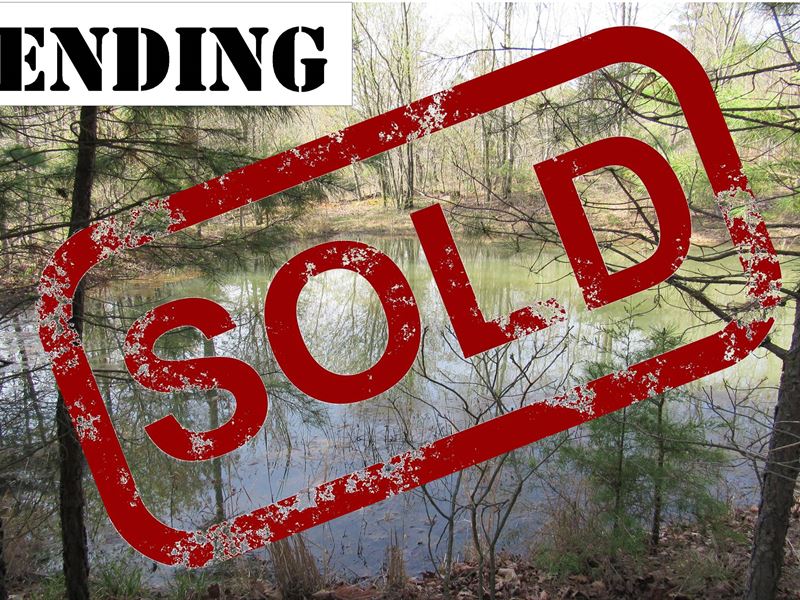 16.5 Acres Near The Ozark NF : Ozone : Johnson County : Arkansas