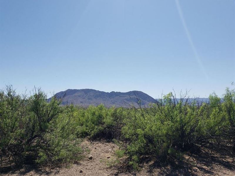 20 Acre Deal of a Lifetime : Adobes : Presidio County : Texas