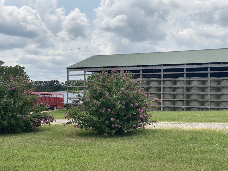 Cattle Farm for Sale in Missouri : Salem : Dent County : Missouri