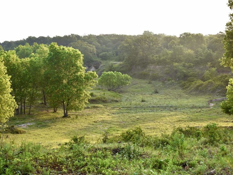 197.85 Acres Montague County : Montague : Montague County : Texas