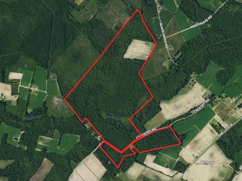 253.61 Acres : Nichols : Horry County : South Carolina