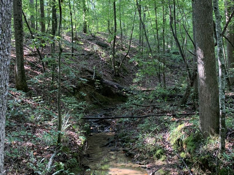 265 Ac Silo Rd : Altoona : Etowah County : Alabama