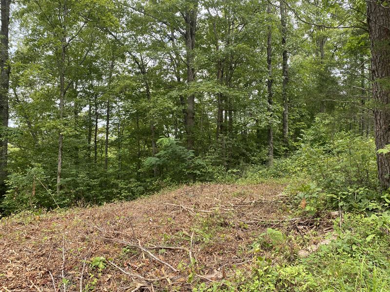 20.20 Ac McCreary County, Kentucky : Whitley City : McCreary County : Kentucky