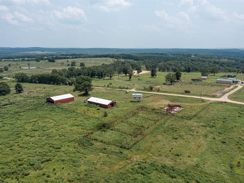 Cattle Ranch, Hunt Near McAap, OK : Stuart : Pittsburg County : Oklahoma