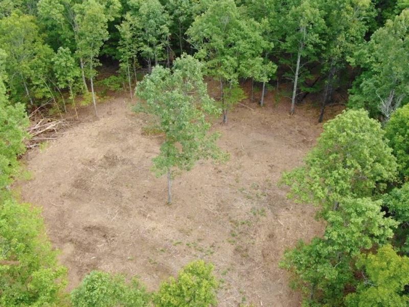 $1500 Down On Hunting Tract : Viola : Fulton County : Arkansas
