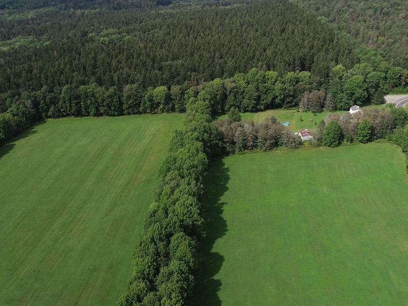 Mostly Open Acreage to Build : Pharsalia : Chenango County : New York